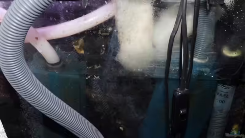 Klarwasserkammer,Filterpatrone 1 Ausenf. 2 Strömungsp. von caoz78 (6)