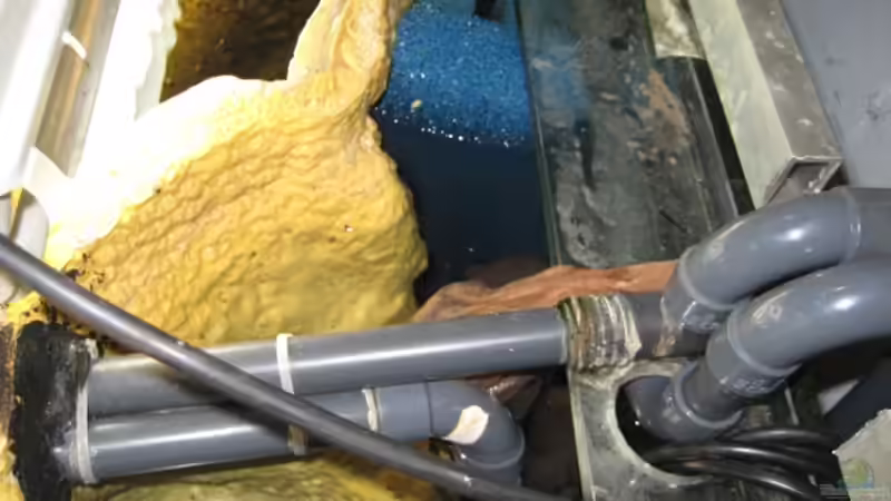 Klarwasserkammer mit Rohren von JoSchi (10)