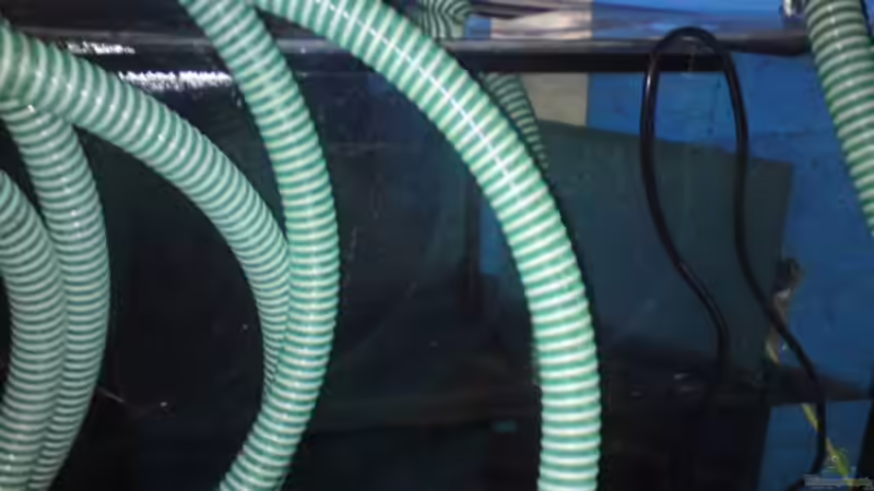 klarwasserkammer mit rückförderpumpe von tattooindi (18)