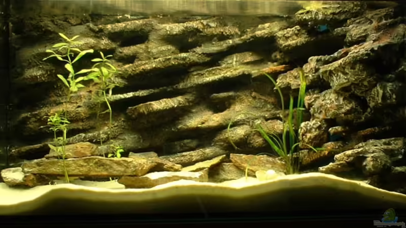 klein aber fein von Patrick Rall (1)