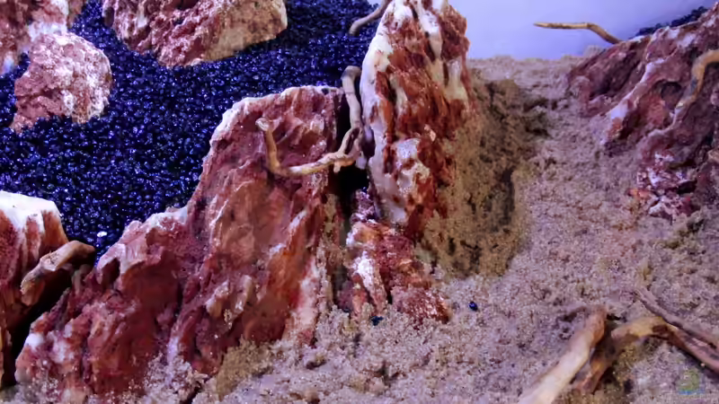 Kleine brocken sollen die Steinwand natürlicher wirken lassen ... auch die wurzelstückchen von Bjarke (21)