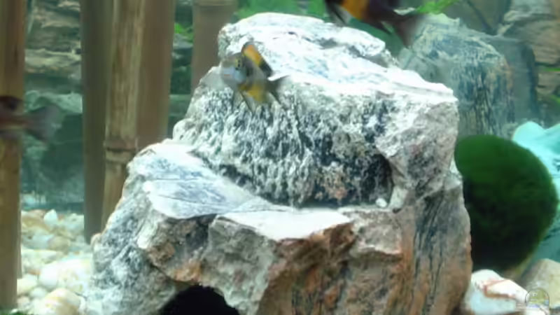 Kleine Höhle 02 von Rene Wiedemann (10)