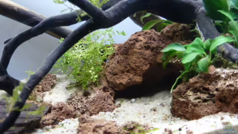 Kleine Höhle als Unterschlupf von Martin W. (5)