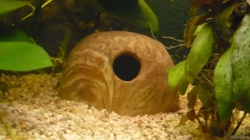 kleine Höhle von Dennis (10)