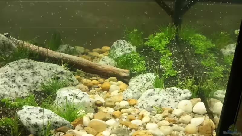 Kleine Kiesel und weißer Sand markieren den Pfad von Blubberblubs (13)