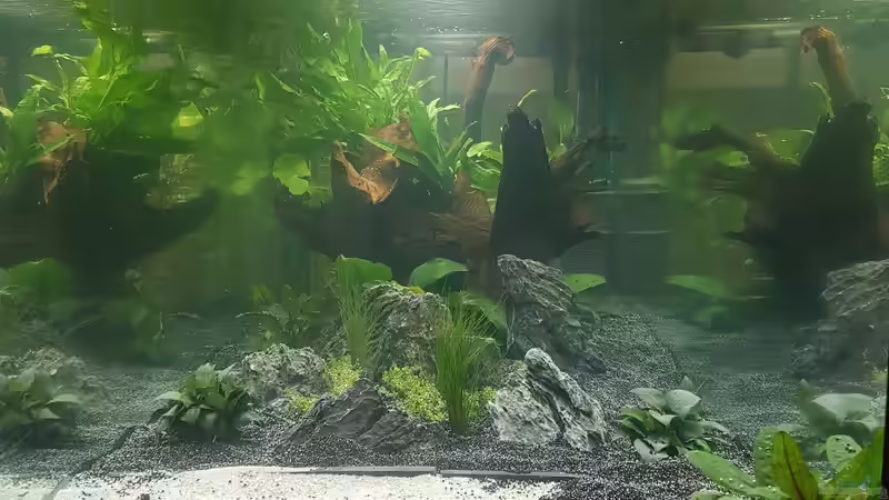 kleine ??nderung von Sunnyboy_72 (14)