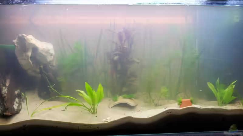 kleine Umstruckturierung von BlueShorty (5)