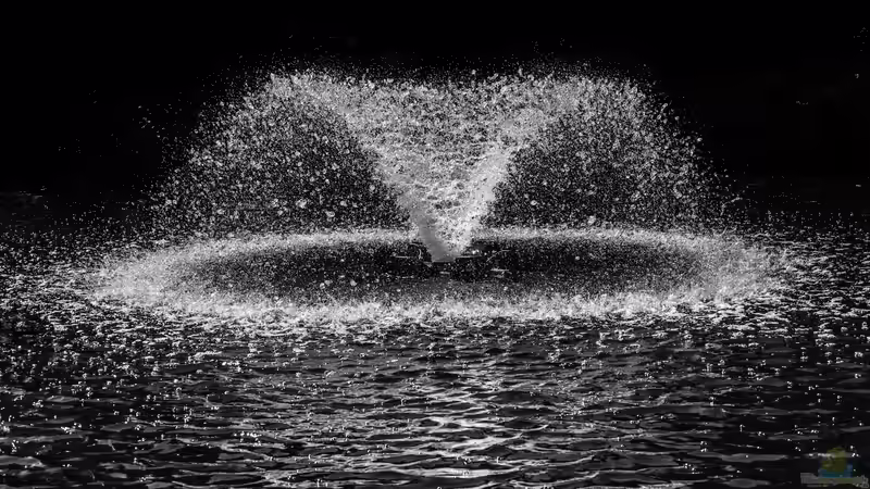 Kleine Wasserspiele im Gartenteich: Sinnvoll oder störend für die Tierwelt?