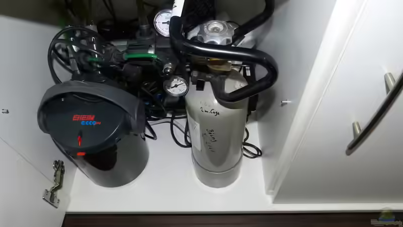 kleiner FIlter und CO2 Düngung von bo3 (11)