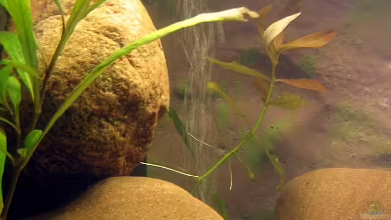 kleiner Sauerstofstein von Dennis Klusmann (16)