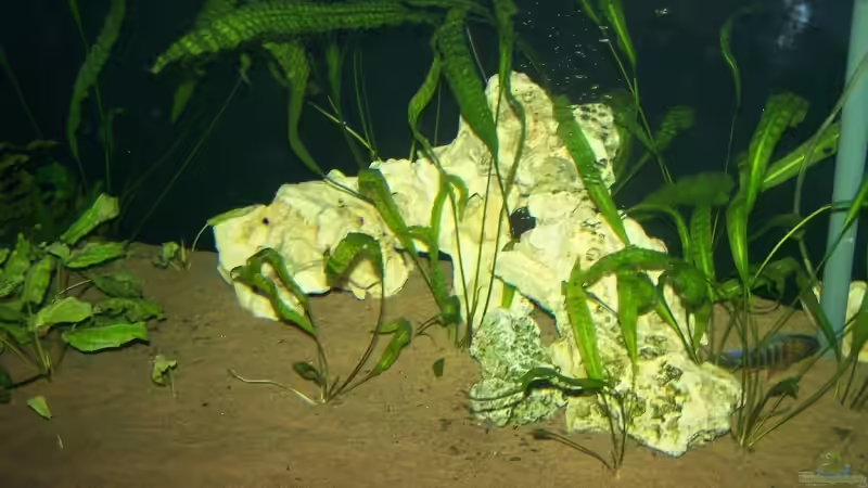 kleiner Steinhaufen mit Blubberblasen :) von Klabuster (12)