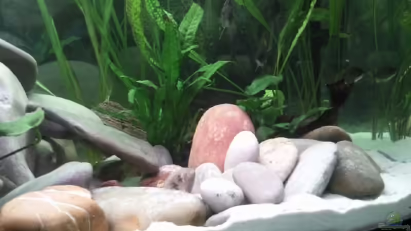 kleiner Steinhaufen von Michael 123 (11)