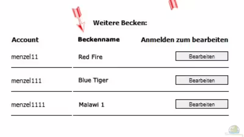 Kleiner Vorschlag an den Häuptling