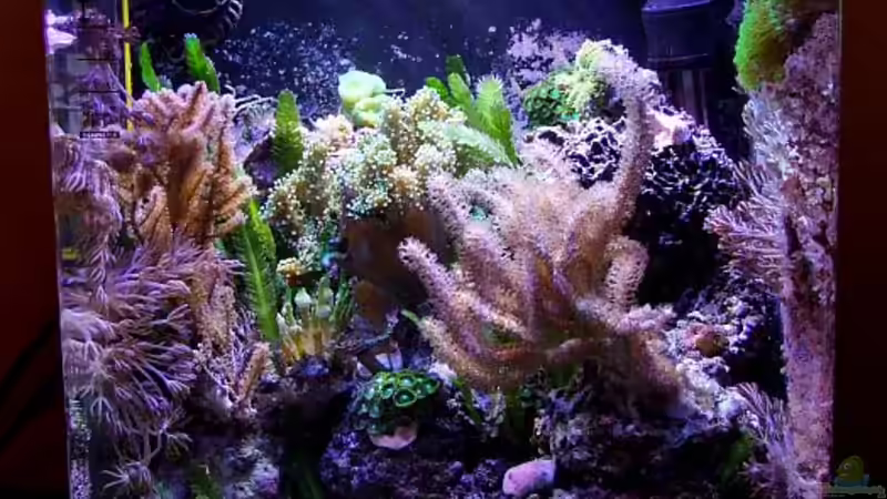 Kleines Meer April 2013 von Denise83 (1)