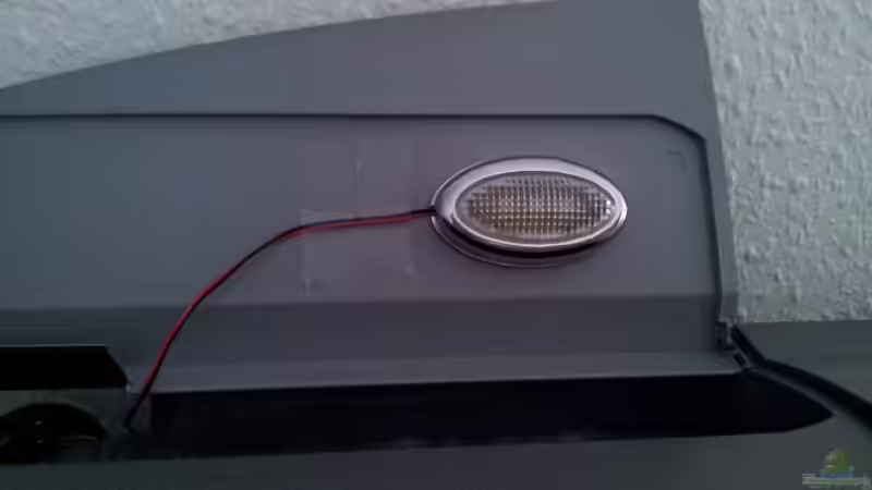 Kleines Mondlicht von Kathrin77 (39)