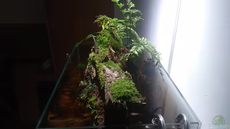 kleines Schwarzwasser von CzudemP (1)