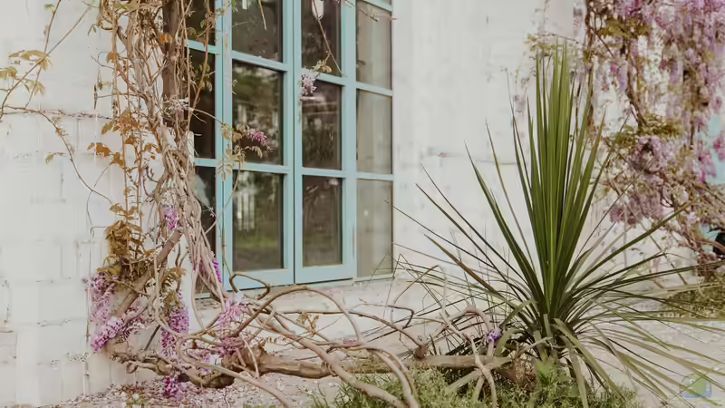 Klimaresilienter Garten - Der große Ratgeber für zukunftssichere Gartengestaltung