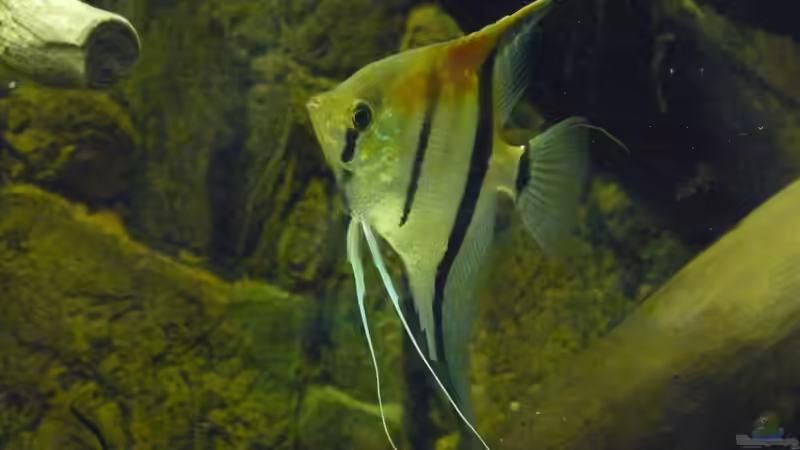 Knapp 10 Monate mittlerweile von DerImperator (52)