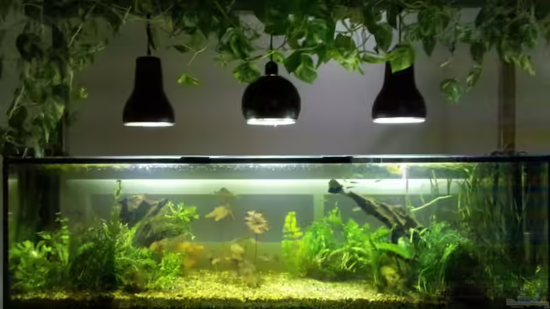 knapp einen Monat nach Umzug & Neueinrichtung von koba2 (2)