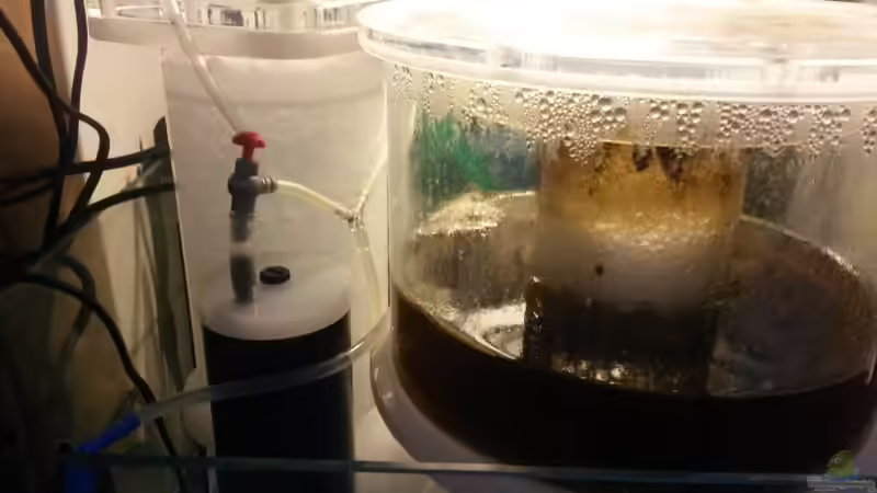 Knecht Abschäumer für 1800 Liter von Truthahnmann (15)