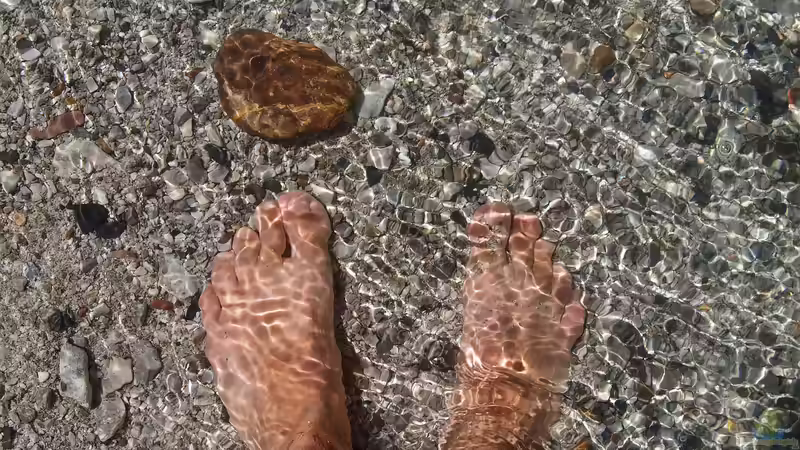 Kneipp-Therapie im eigenen Garten: So planst du dein eigenes Tretbecken