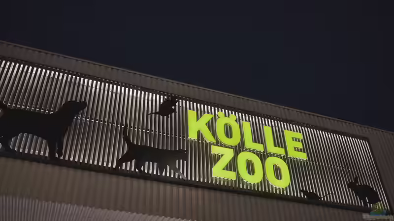 Kölle Zoo treibt Expansion voran: Fünf Märkte in Deutschland und Österreich in Umsetzung - weitere in Planung