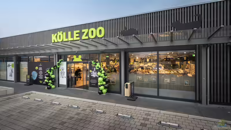Kölle Zoo treibt Expansion voran: Fünf Märkte in Deutschland und Österreich in Umsetzung - weitere in Planung