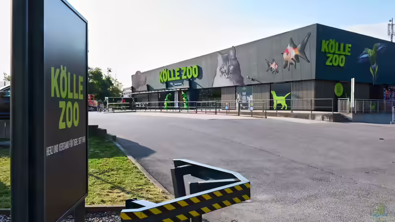 Kölle Zoo treibt Expansion voran: Fünf Märkte in Deutschland und Österreich in Umsetzung - weitere in Planung