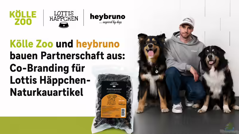 Kölle Zoo und heybruno bauen Partnerschaft aus: Co-Branding für Lottis Häppchen-Naturkauartikel