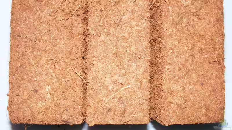 Kokosfaser im Terrarium - Eigenschaften, Anwendung und Vorteile im Detail