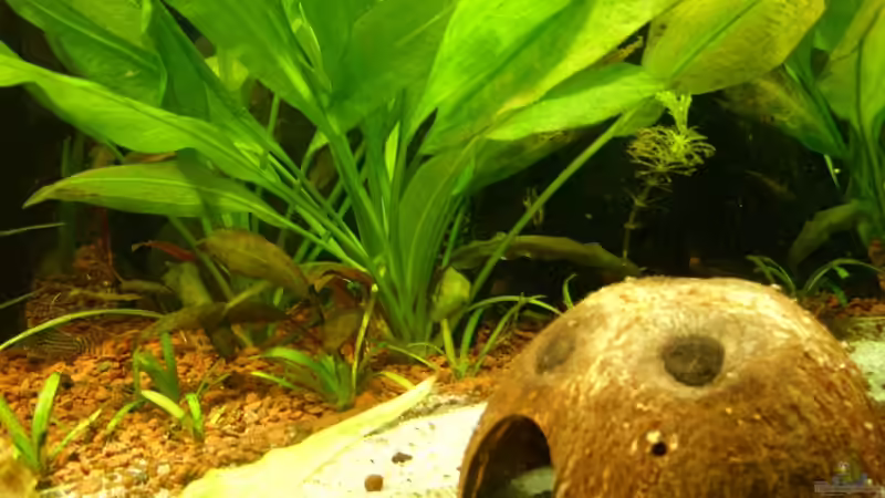 Kokosnusshöhle von Oliver Boden (19)