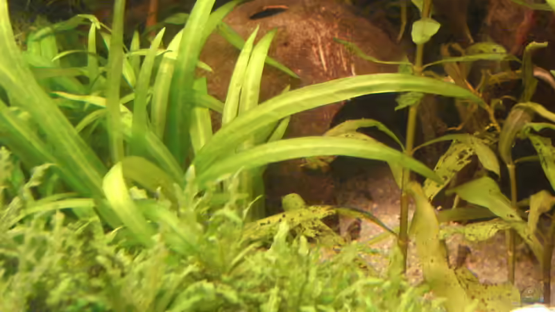 Kokosnusshöhle von Susanne Kruse (11)