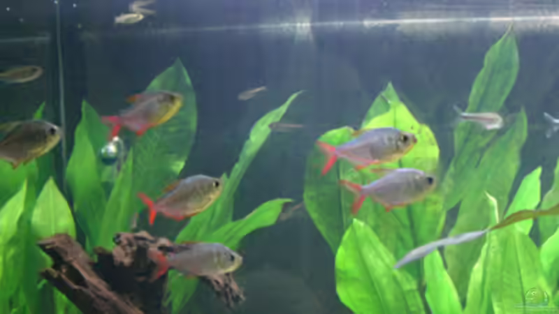 Kolumbus-Crew von Dr. Dr. Kliem (12)