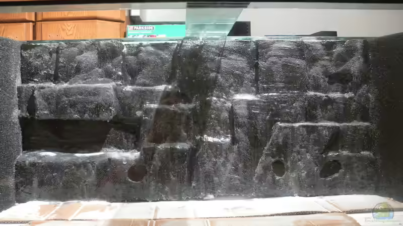 Komblette Rückwand 10.01.2013 von DominikZ (24)