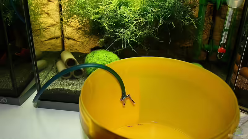 Komfortable Lösung: empfindliche Garnelen (z.B. Red Bee???s) an neue Wasserwerte gewöhnen