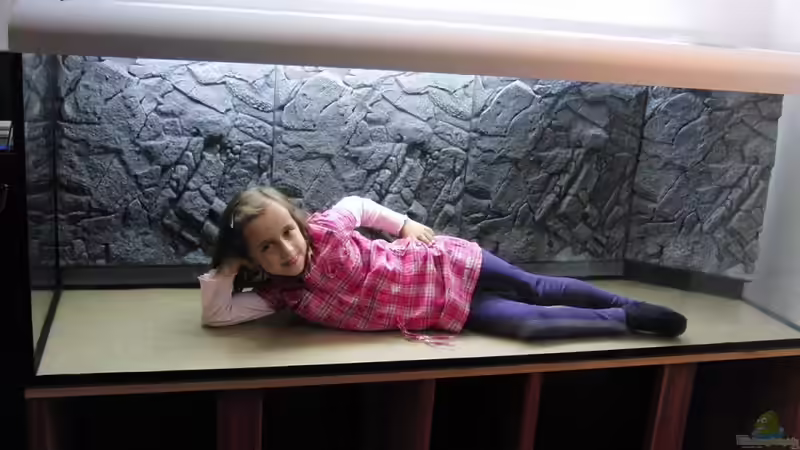 Komischer Fisch..... von Microsash (5)