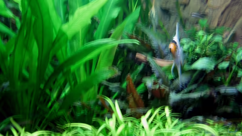 Kommen bessere^^ von Malte Harms