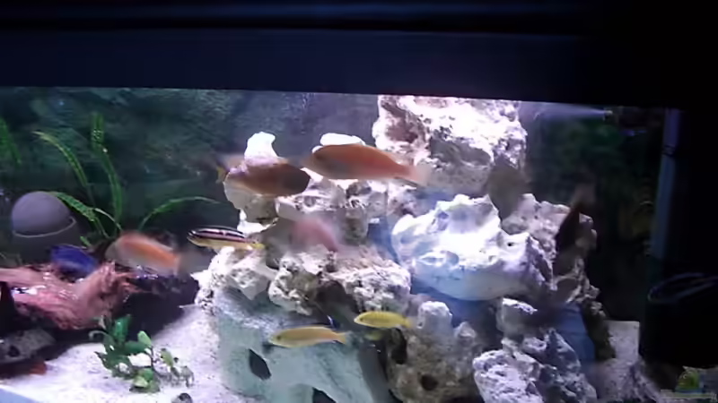 Kommt noch ein anderes Bild von Thomas Wolf (3)