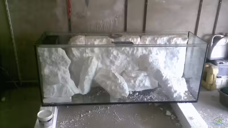 komplet von vorne von MDenzer (3)