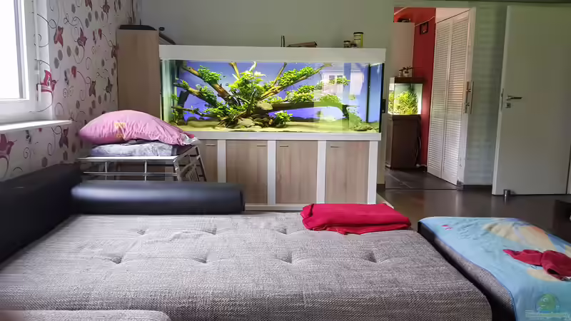 Komplett Ansicht  von Hoase (2)