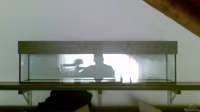 Komplett ansicht leer von Thomas Zips (3)