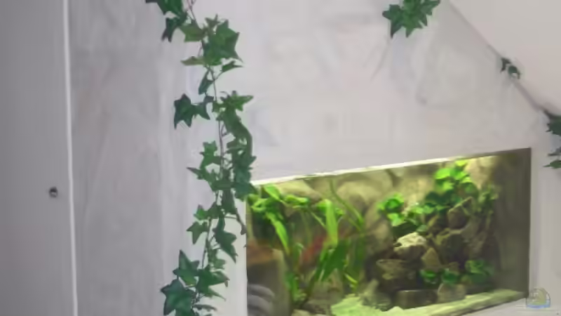 Komplett Ansicht von Sandro Di Giandomenico (1)