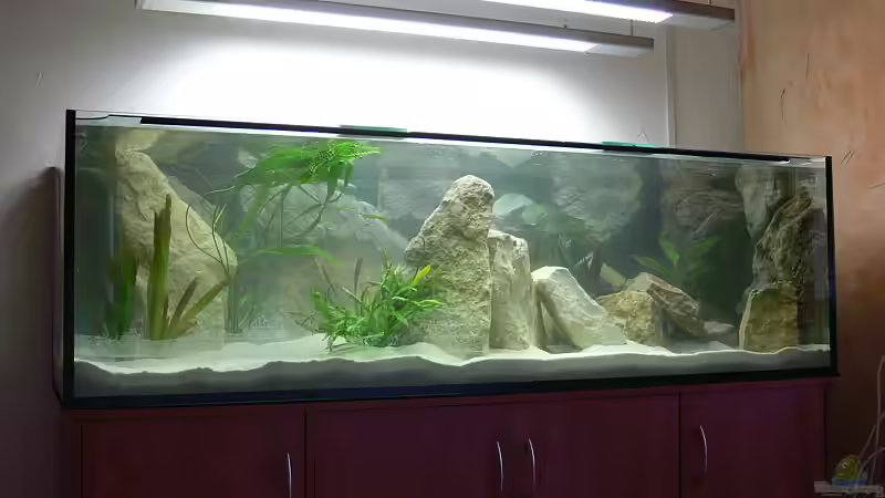 Komplett eingerichtet von Christian Klar (5)