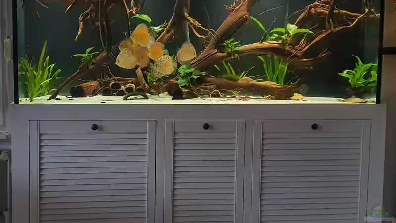 komplett fertig von Steven Tumma (9)