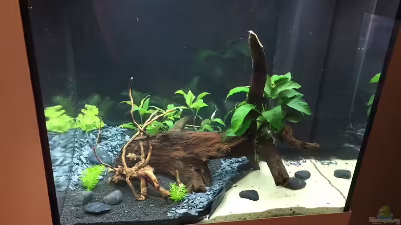 komplett gefüllt! :-) von moehriam (17)