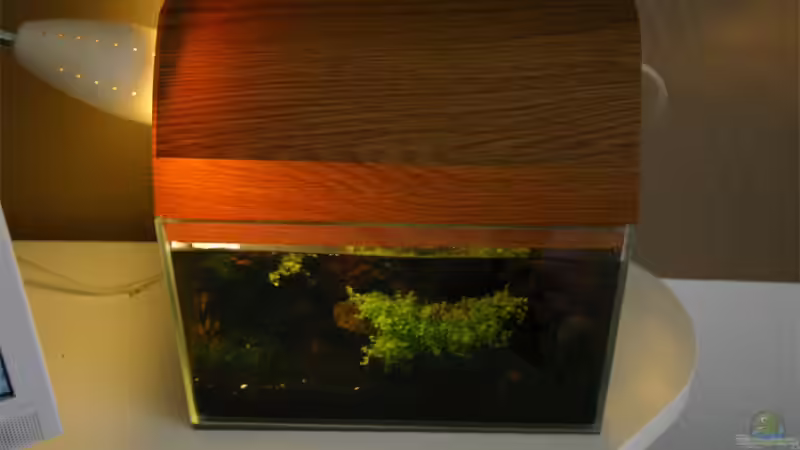 Komplett von senf.. (3)