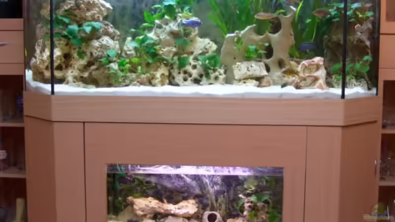 Komplettanlage  von Malawi Freak (1)