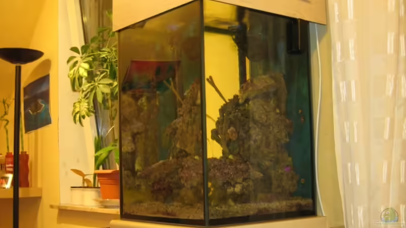 Komplettansicht [ Mai ] von Christian Schneider (1)