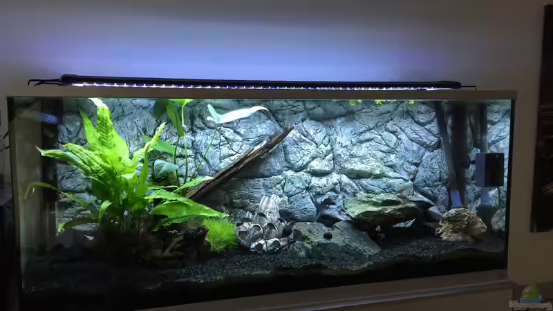 Komplettansicht  von Aqua-Jonas (2)