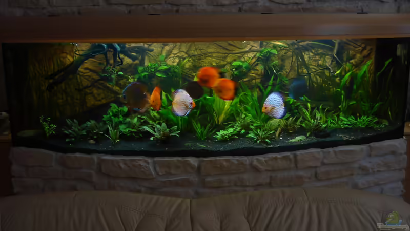 Komplettansicht 12.02.2012 von matze70 (13)